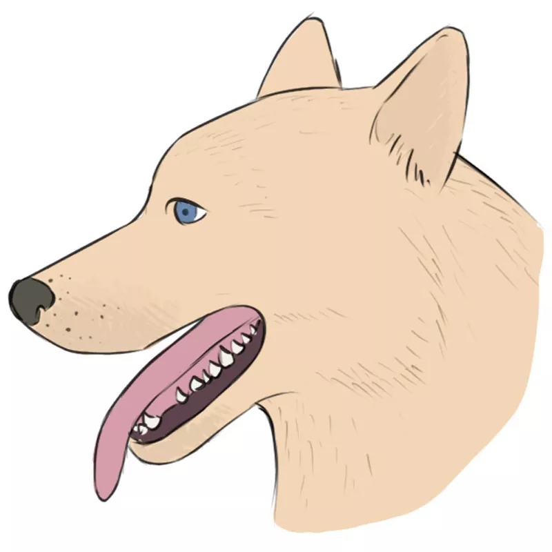 How to draw a dog (1) How to draw a basic face | MediBang Paint - the free  digital painting and manga creation software