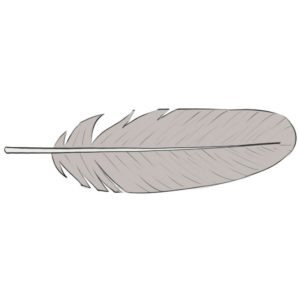 How to draw a feather