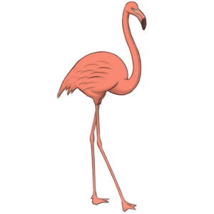 How to draw a flamingo