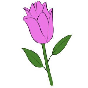 How to draw a flower