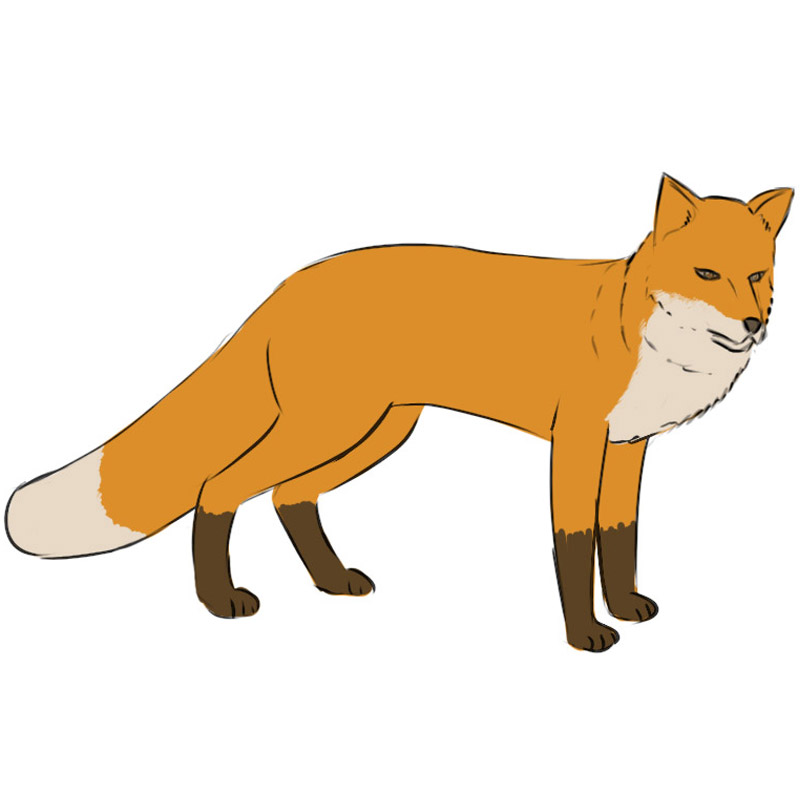 how to draw a fox for kids