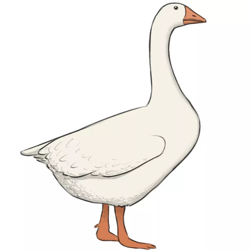 how to draw a goose cartoon linearttutorialstepbystep