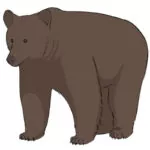 How to Draw a Grizzly