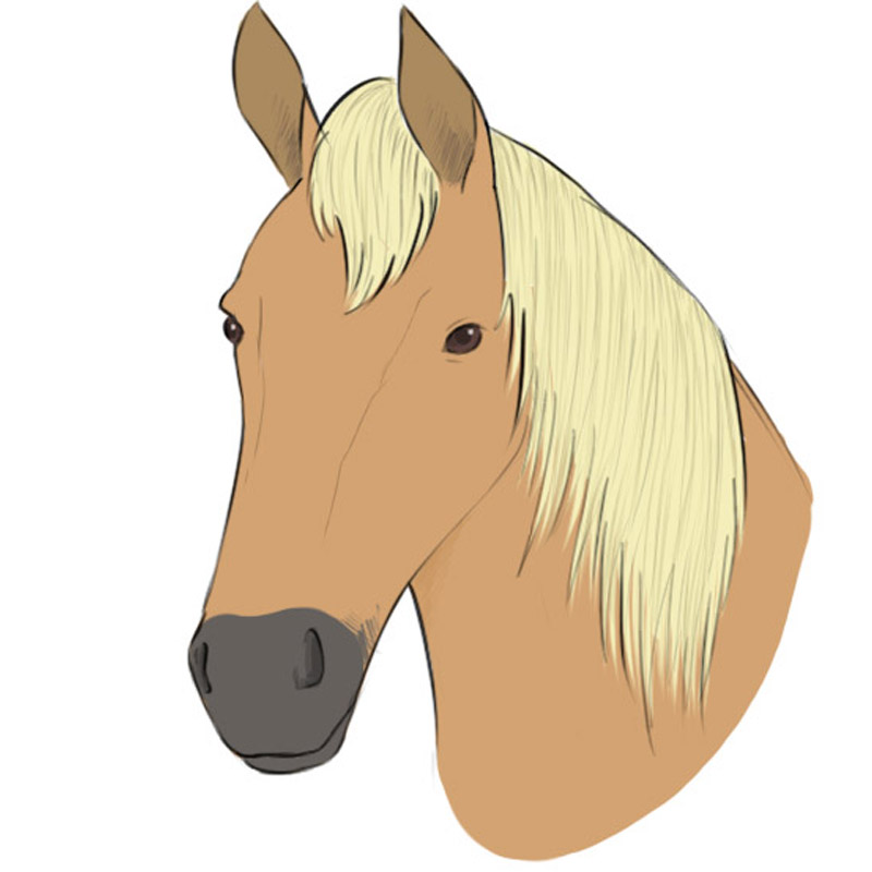 How to Draw a Horse Head - Easy Drawing Art