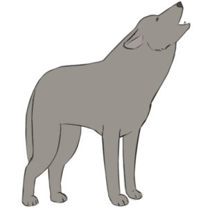 How to draw a howling wolf