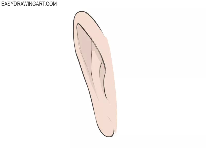 How to draw a human ear