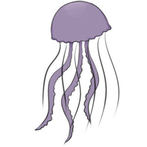 How to draw a jellyfish