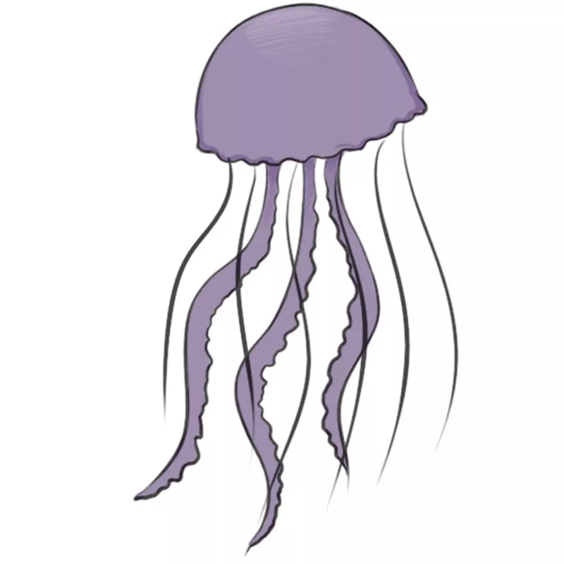 Drawing Jellyfish #20399 (Animals) – Printable coloring pages