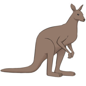 How to draw a kangaroo