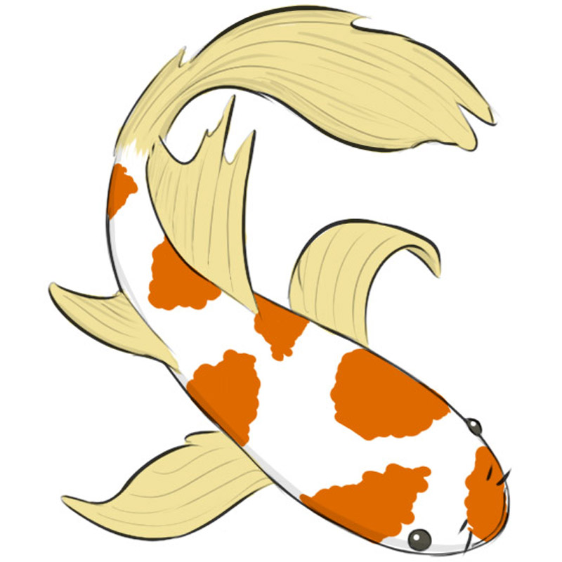 Draw Koi Fish Step Step