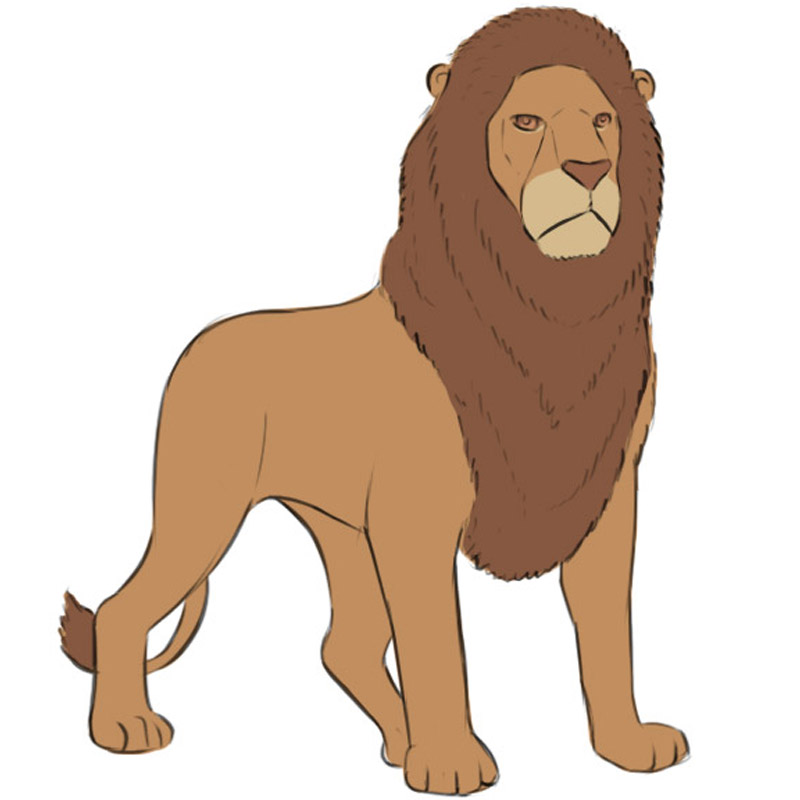 Learn How to Draw a Lion (Zoo Animals) Step by Step : Drawing Tutorials