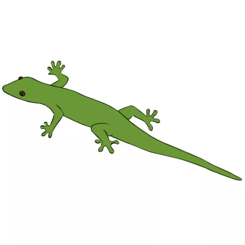 How to Draw a Lizard - Easy Drawing Art