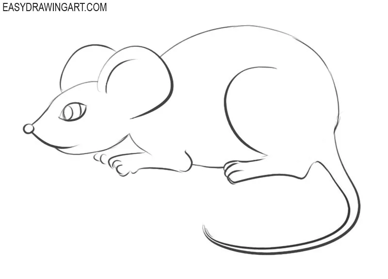 How to draw a mouse easy