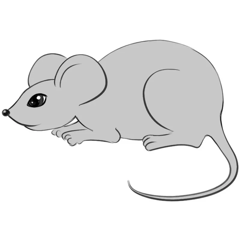 Computer mouse on a white background. Freehand drawing. Vector isolated  illustration Stock Vector Image & Art - Alamy