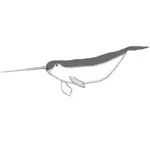 How to Draw a Narwhal