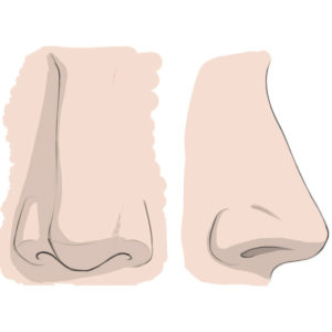 How to draw a nose