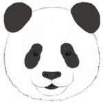How to Draw a Panda Face