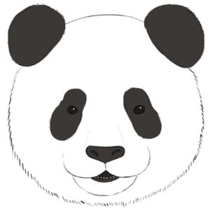 How to draw a panda face