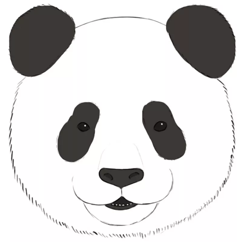 How to Draw a Panda Face - Easy Drawing Art