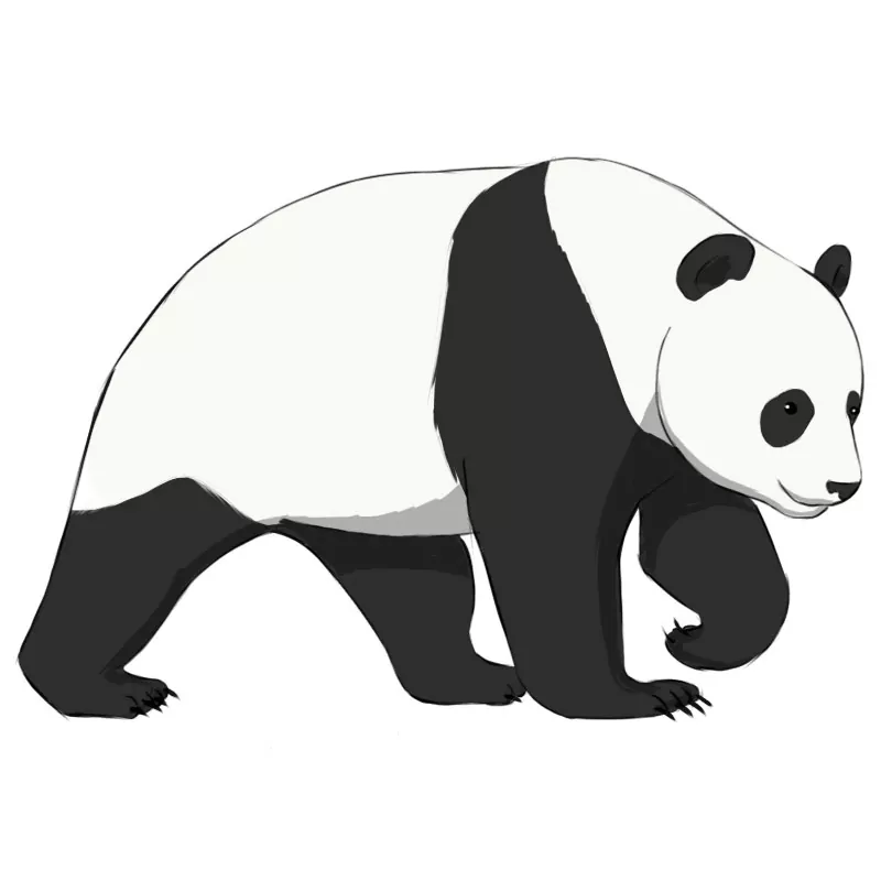 Stylized Giant Panda Full Body Drawing. Simple Panda Bear Icon or Logo  Design Stock Illustration - Illustration of asian, design: 253804149
