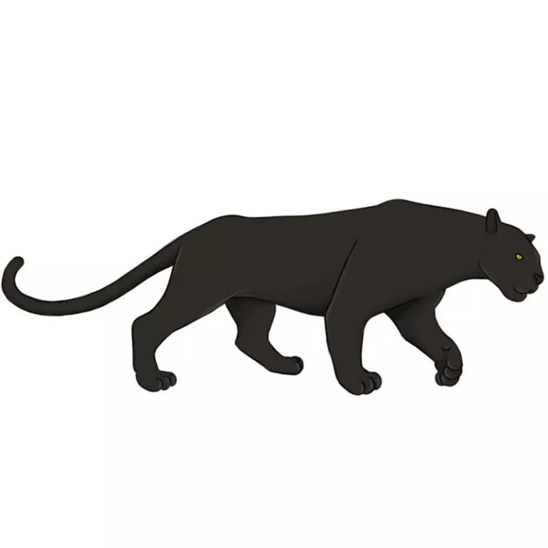 How to Draw a Panther
