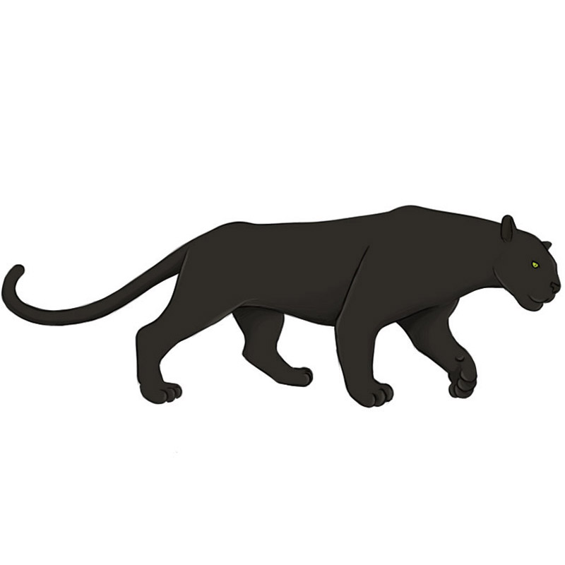 simple panther head drawing