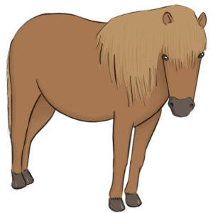 How to draw a pony