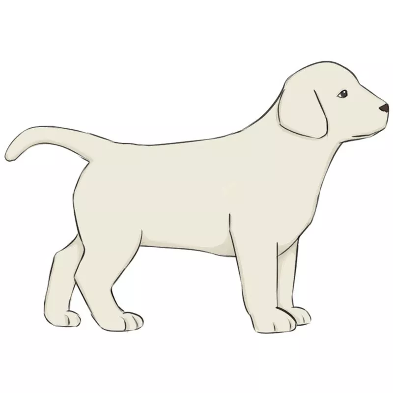 Cartoon Puppy Dog Coloring Pages Cute Puppy Outline Sketch Drawing Vector,  Real Puppy Drawing, Real Puppy Outline, Real Puppy Sketch PNG and Vector  with Transparent Background for Free Download