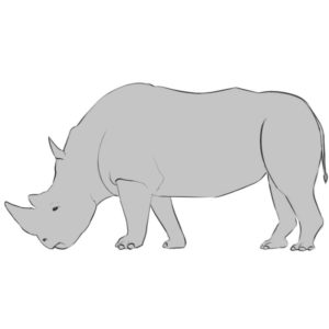 How to draw a rhino
