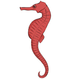 How to draw a seahorse