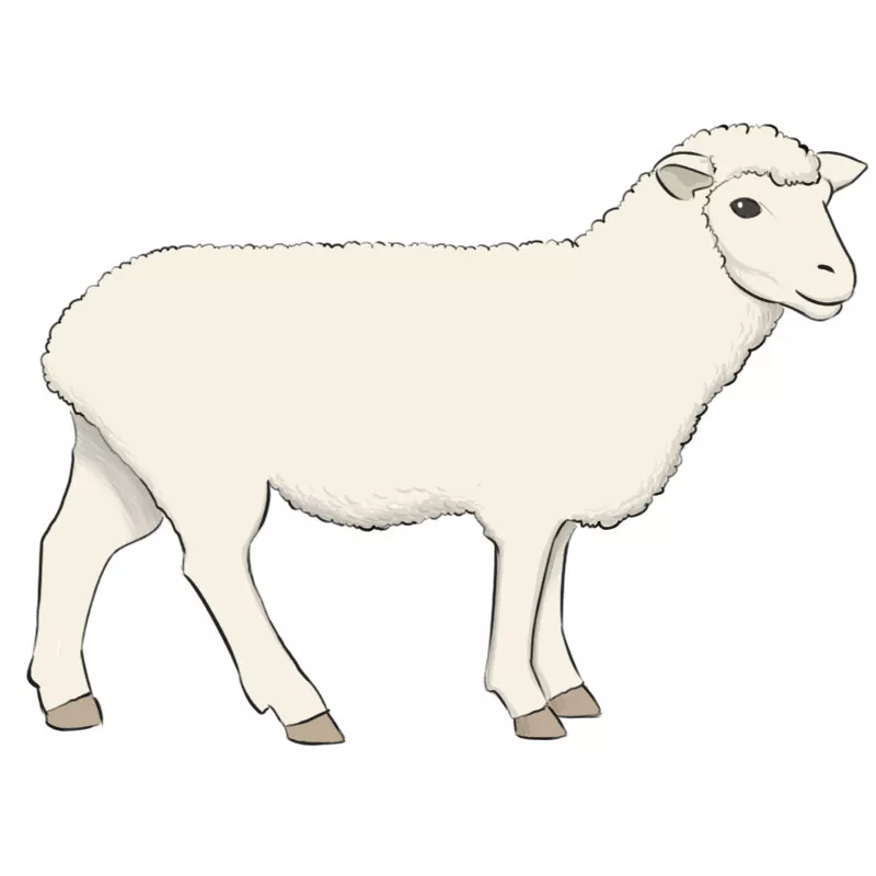 Drawing sheep face animal Royalty Free Vector Image