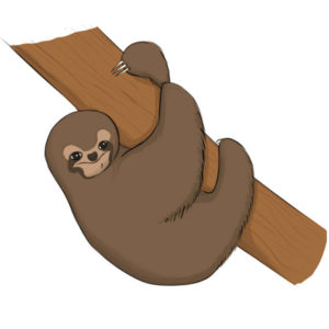 How to draw a sloth