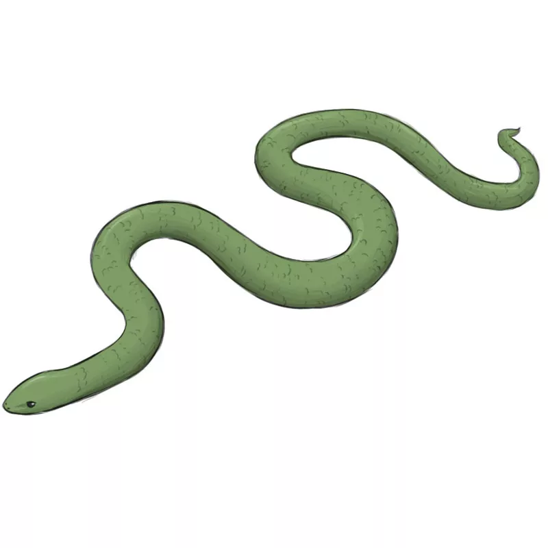 easy snake sketch
