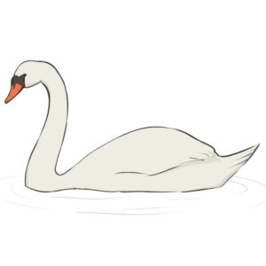 How to draw a swan