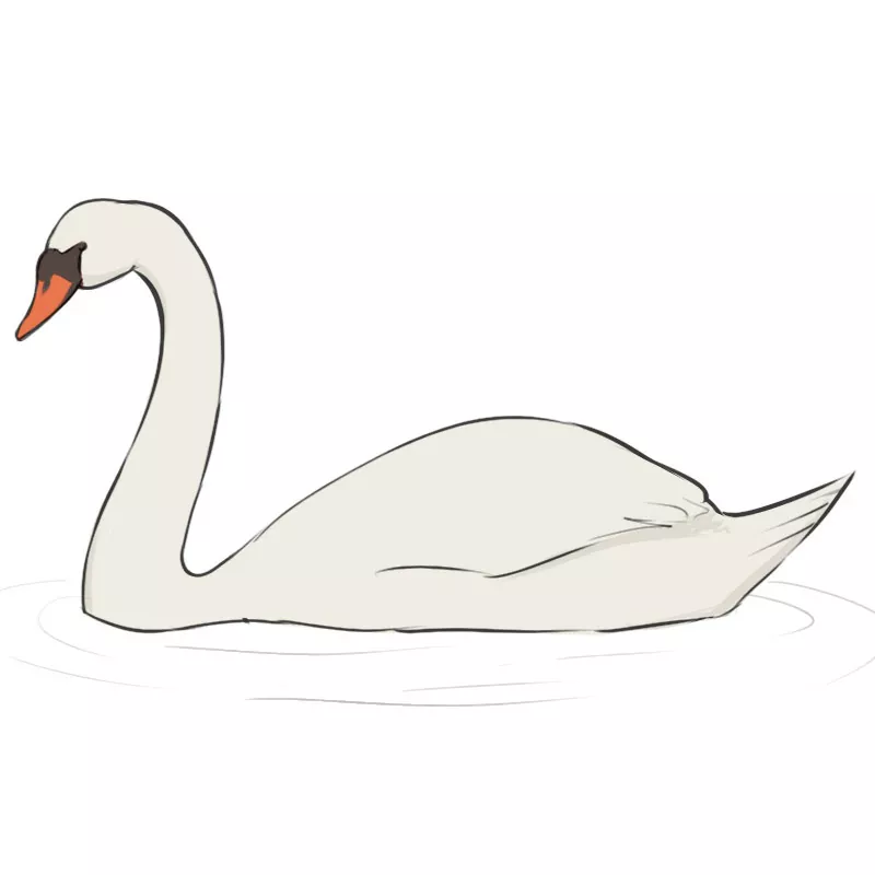 How to draw swan step by step | Easy drawing and colouring idea - YouTube