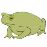 How to Draw a Toad