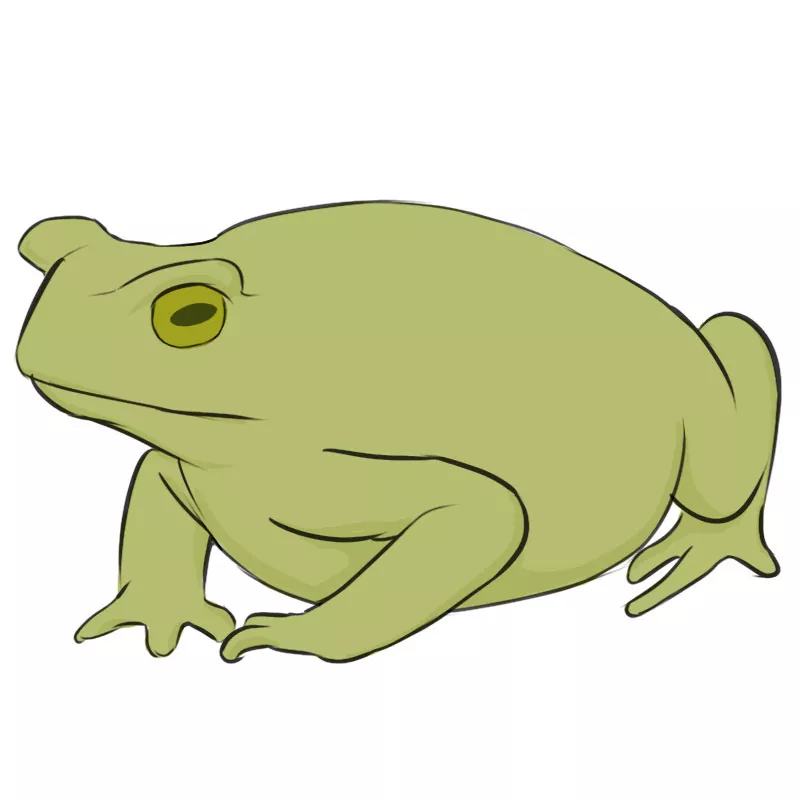 How to Draw a Toad Easy Drawing Art
