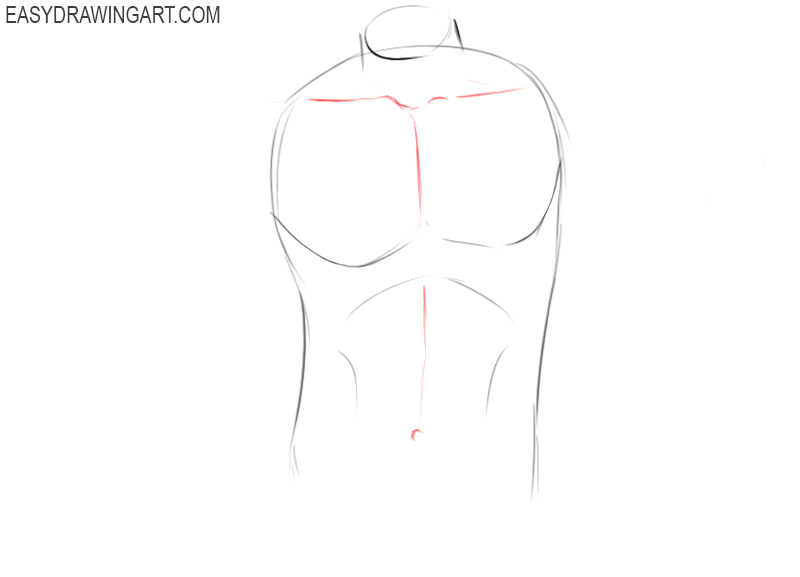 How to draw a torso male