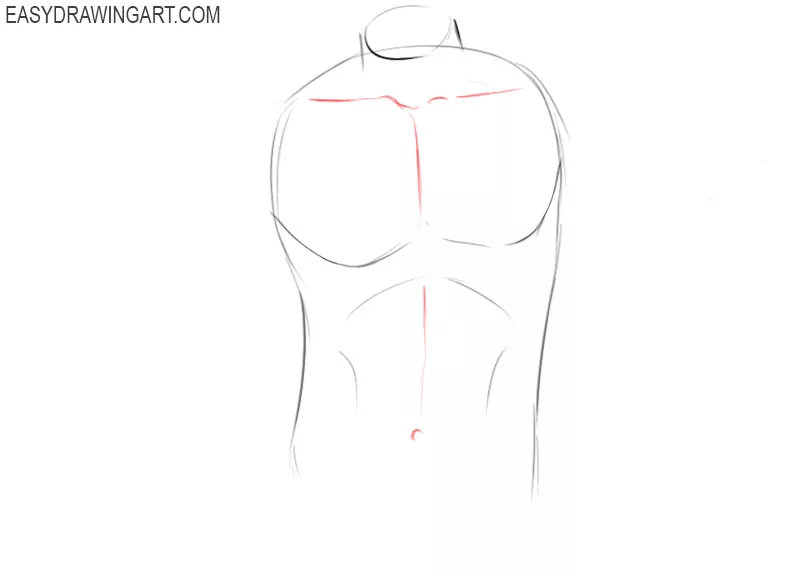How to draw a torso male