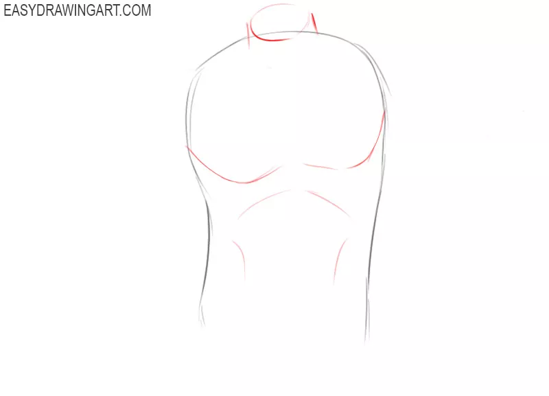 How to draw a torso step by step