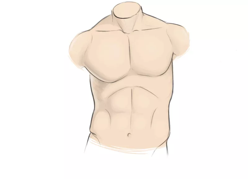 How to draw a torso