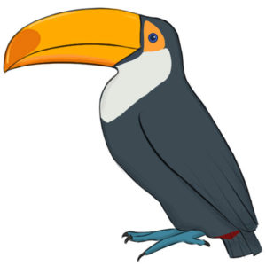 How to draw a toucan