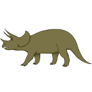 How to draw a triceratops