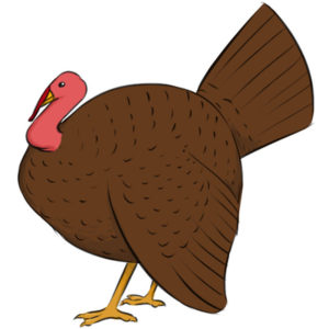 How to draw a turkey