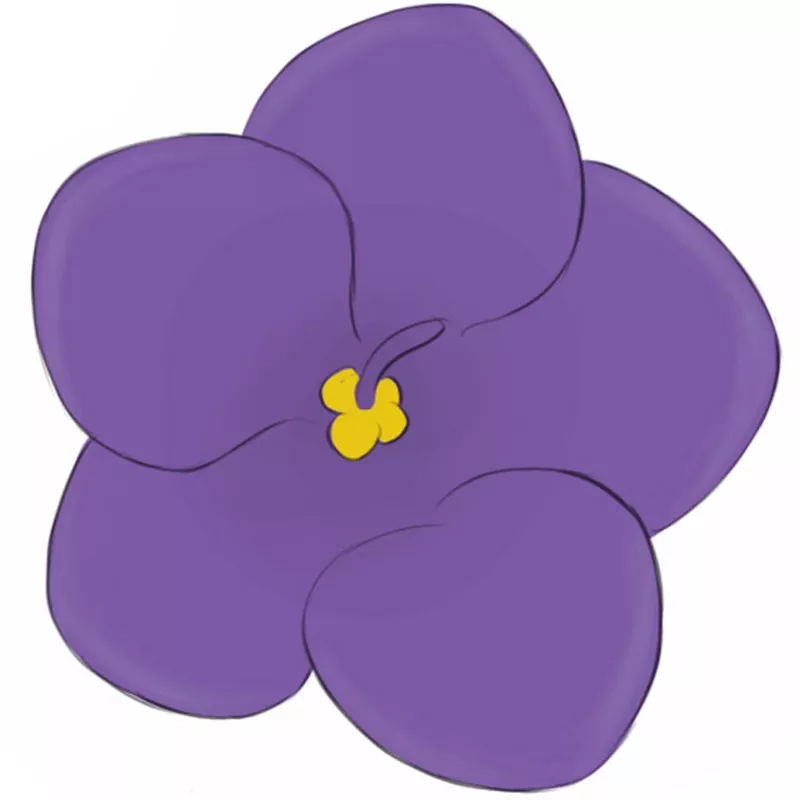 Violet Flower Drawing