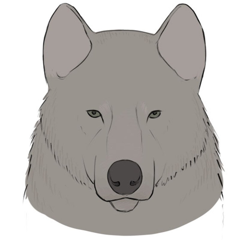 How to Draw a Wolf Face - Easy Drawing Art