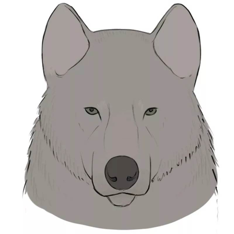 anime wolf head outline