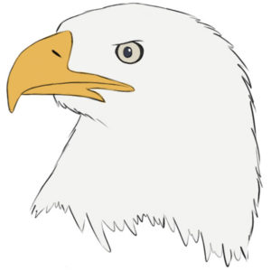 How to draw an eagle head