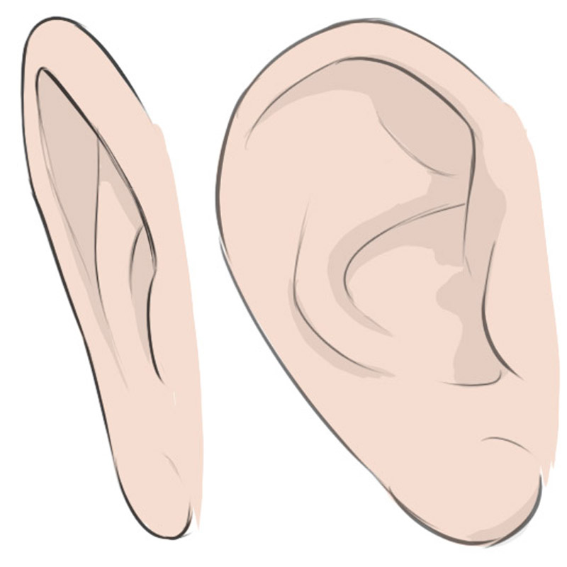 160,677 Ear Drawing Images, Stock Photos & Vectors | Shutterstock