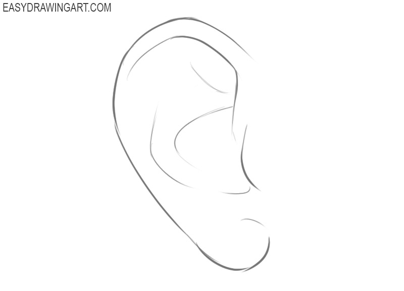 How to draw an ear easy